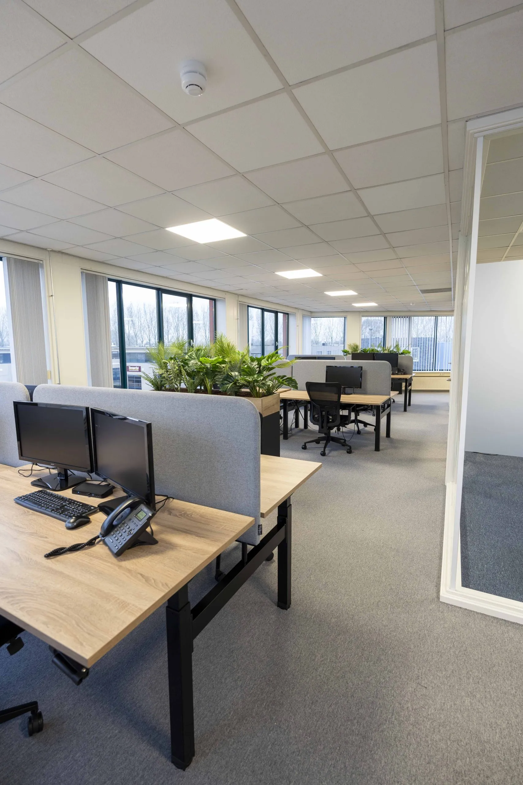 Open kantoor met bench-werkplekken en akoestische scheiding.